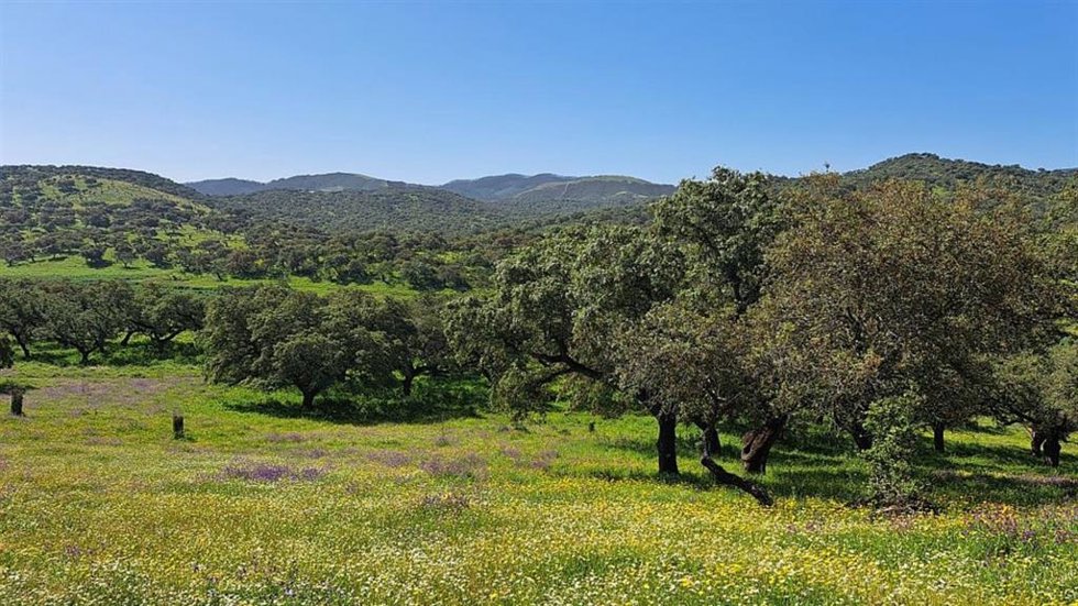 Sierra de Aracena y Picos de Aroche.
