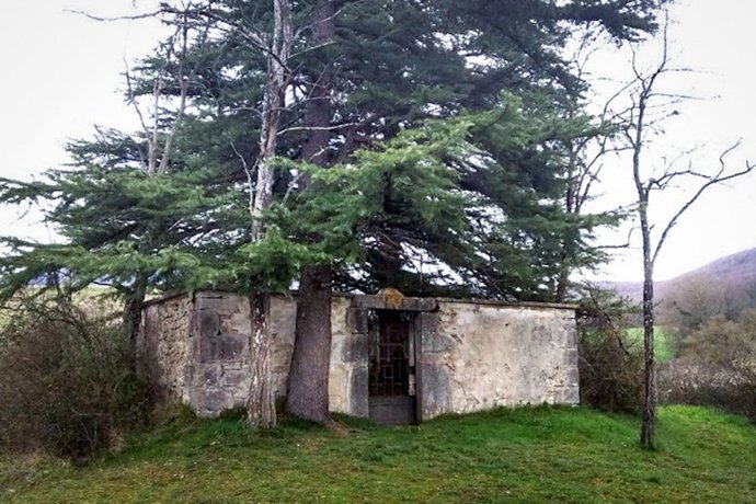 Cementerio de Etulain.