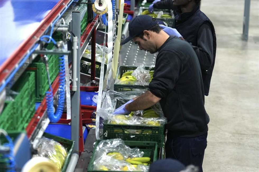 Varios trabajadores durante la inauguración de la nueva planta de Europlátano, en el Polígono Bengoetxe, a 21 de mayo de 2026, en Orozko (Bizkaia) 