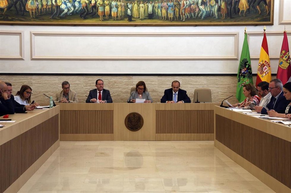 Pleno ordinario provincial.