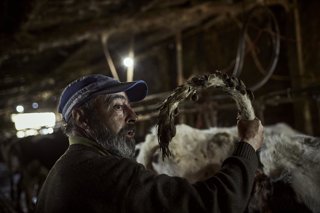 Archivo - Un veterinario rural 