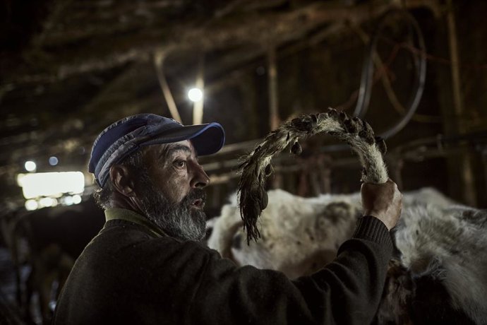 Archivo - Un veterinario rural 