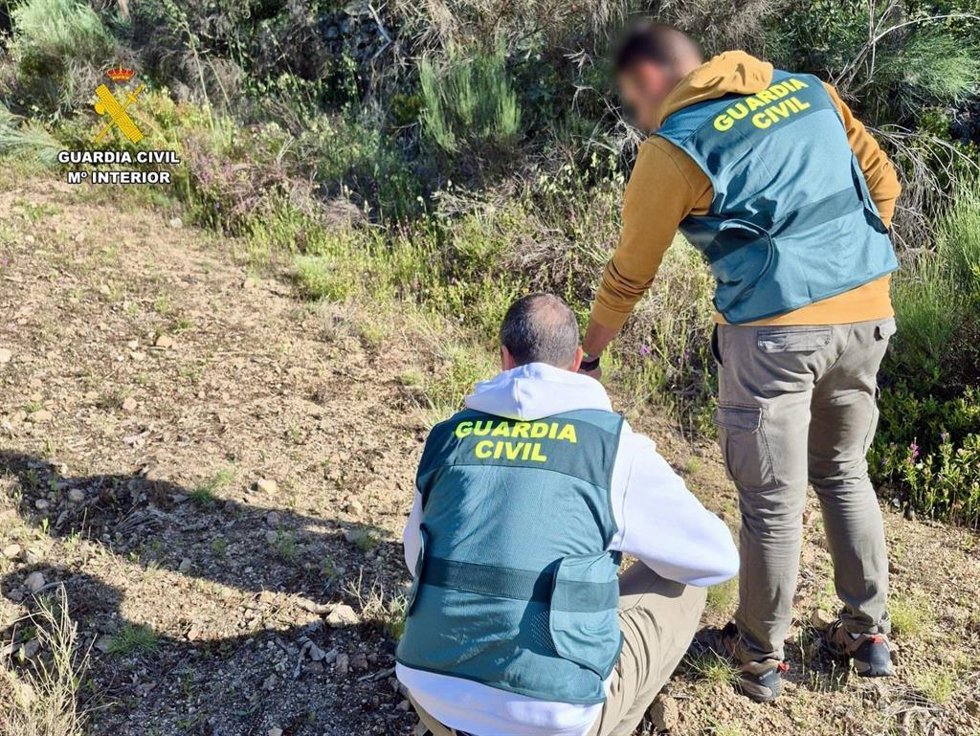 Agentes de la Guardia Civil inspeccionan la zona