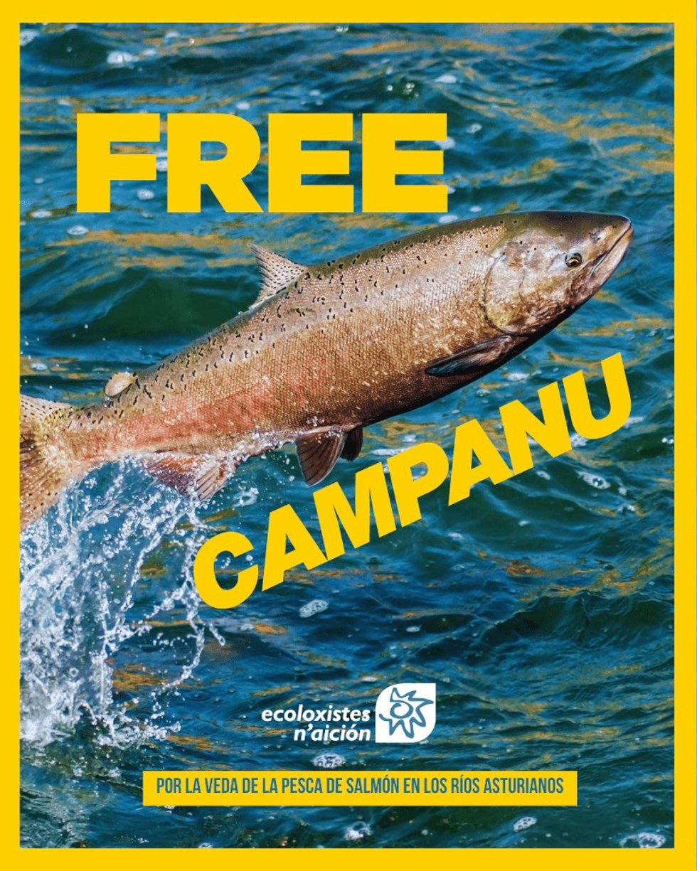 Cartel de la campaña '¡Free Campanu!'.