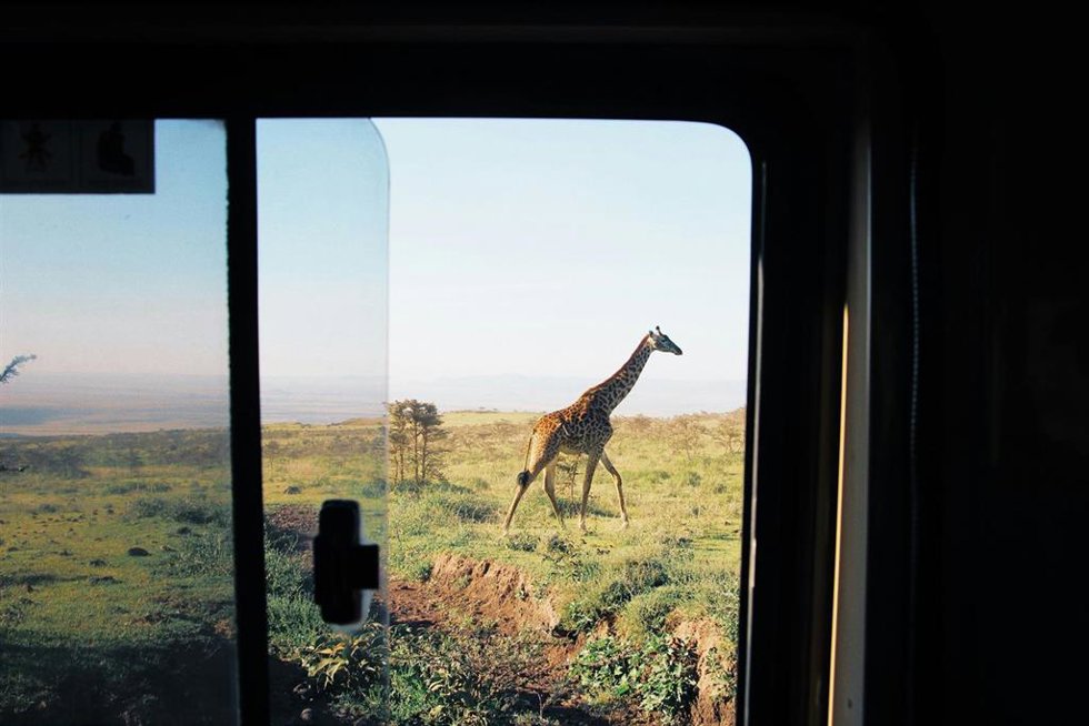 Africa