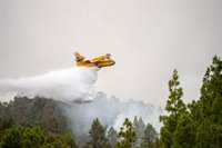 Deficiencias de regulación y problemas del sector, entre los riesgos para los pilotos en la lucha contra los incendios