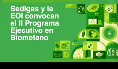 economia