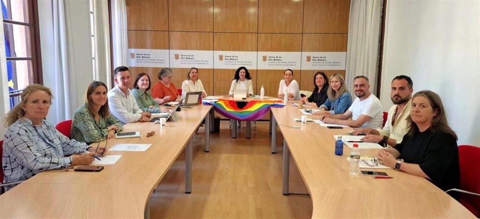 La consellera de Familias, Bienestar Social y Atención a la Dependencia, Sandra Fernández,preside la reunión del Consejo LGTBI.