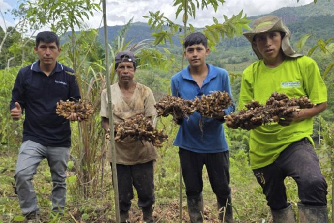 Perú.- Ministerio del Ambiente lanza quinta edición de Impacta Verde con S/ 10 millones en ventas