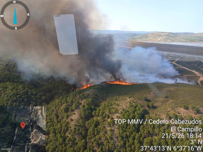 Incendio declarado en Canillas de Aceituno (Málaga).