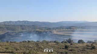 Incendio de vegetación agrícola en Vinebre (Tarragona)