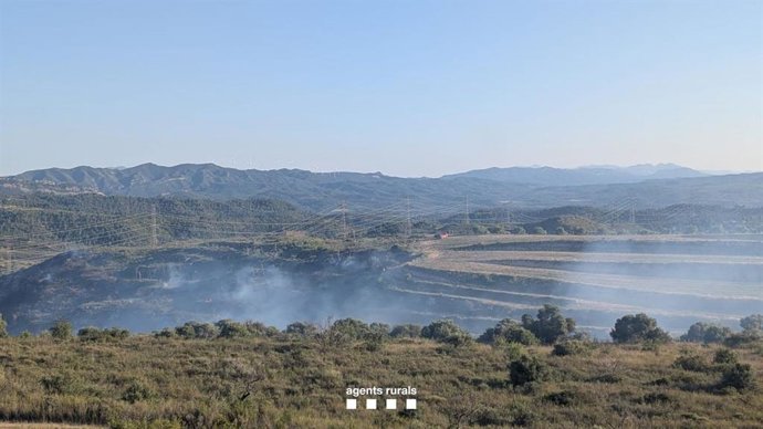 Incendio de vegetación agrícola en Vinebre (Tarragona)