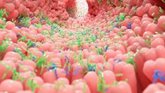 Foto: Las bacterias intestinales pueden cambiar de estado para sobrevivir a antibióticos y dieta