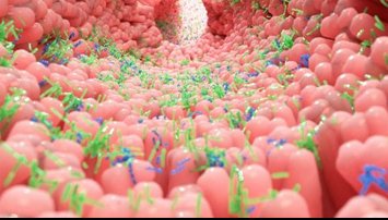 Investigación