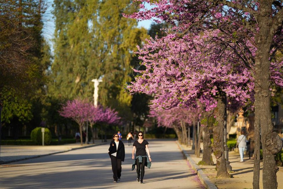 Archivo - Las altas temperaturas se imponen en la península. 