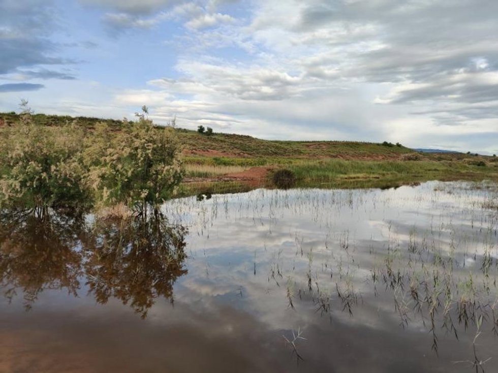 El Gobierno de La Rioja celebra el Día de la Diversidad Biológica con una jornada de actividades en el Área Natural Singular de Cofín