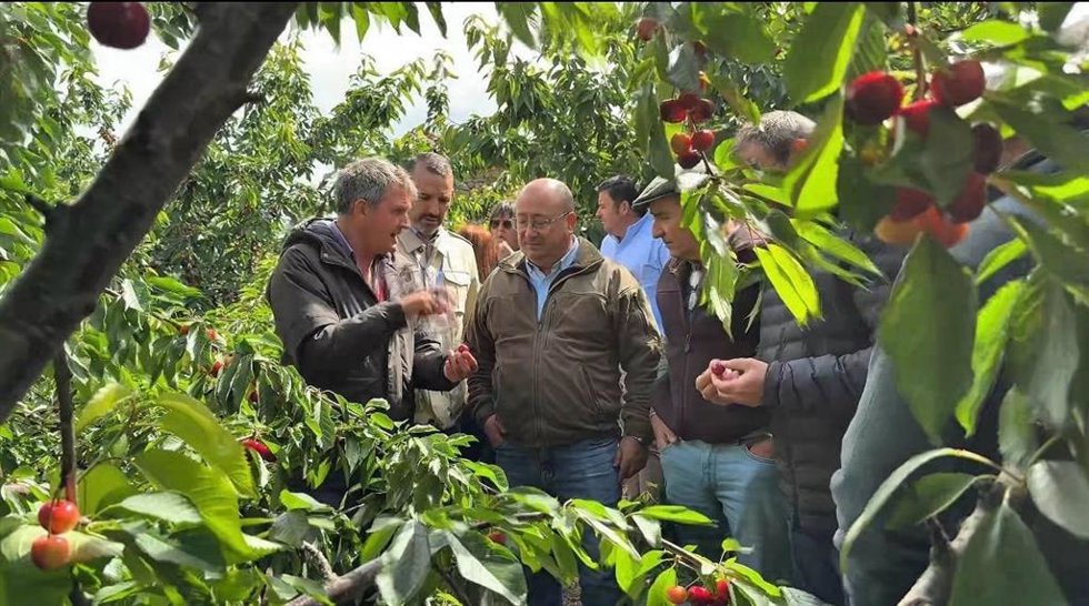 El consejero de Agricultura, Juan José García, en una imagen de archivo