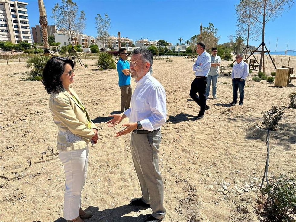 El subdelegado del Gobierno en Alicante, Manuel Pineda (c), visita los trabajos de recuperación ambiental de Playa Paraíso en La Vila Joiosa