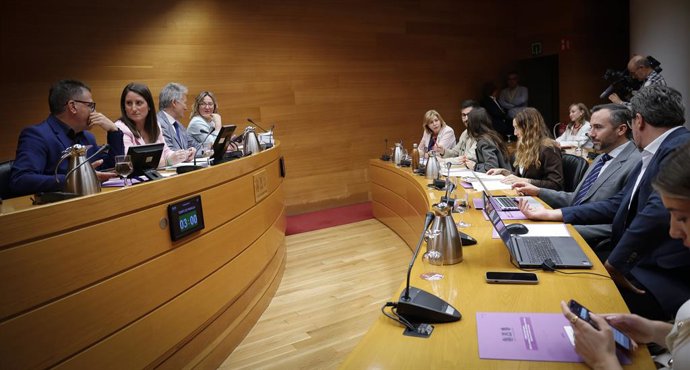 Comissió d'investigació sobre les VPP en Les Corts