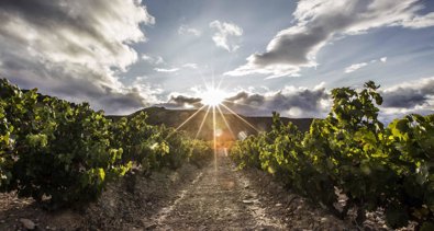 La Rioja