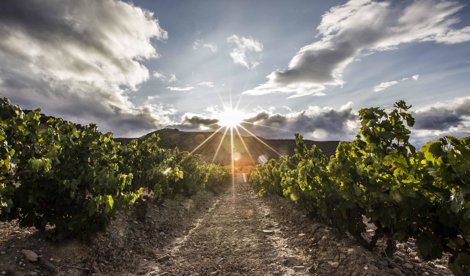 La Rioja
