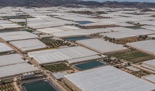 Vista aérea de invernaderos en Níjar (Almería).