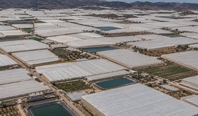 Vista aérea de invernaderos en Níjar (Almería).