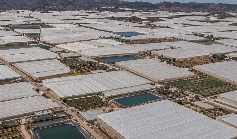 Vista aérea de invernaderos en Níjar (Almería).