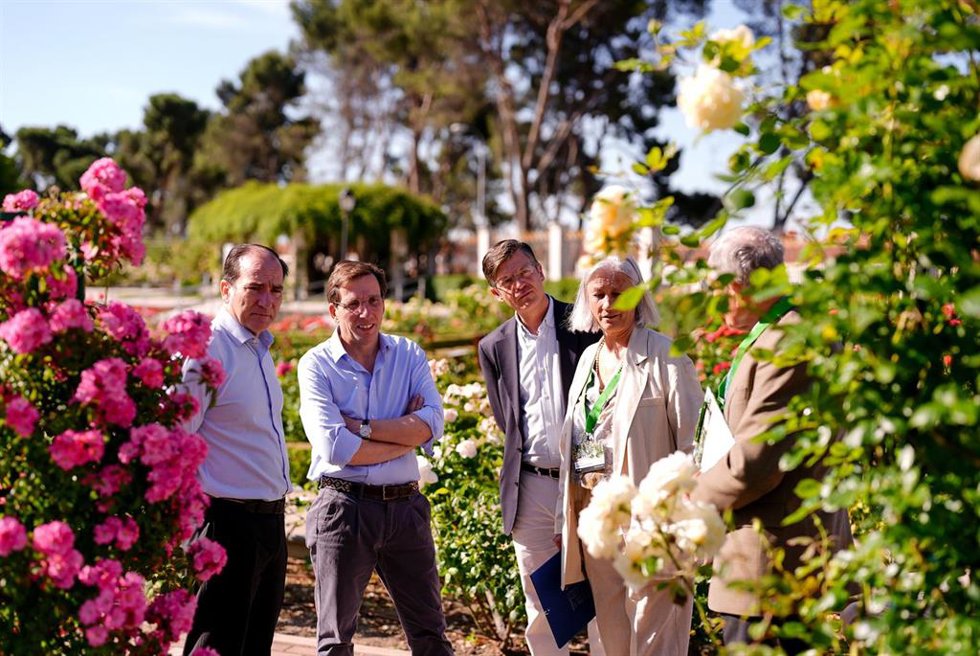 El alcalde de Madrid, José Luis Martínez-Almeida, ha invitado a perderse por la Rosaleda del Parque del Oeste, donde se está celebrando el concurso internacional y el certamen popular
