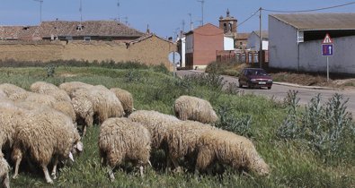 Castilla y León