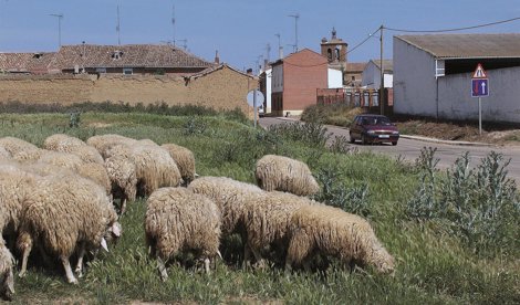 Castilla y León