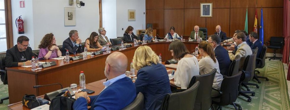Reunión de la Diputación Permanente del Parlamento andaluz.