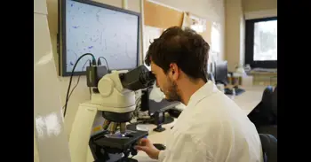 Diagnostican en Barcelona 9 casos de dermatofilosis, que podría transmitirse sexualmente