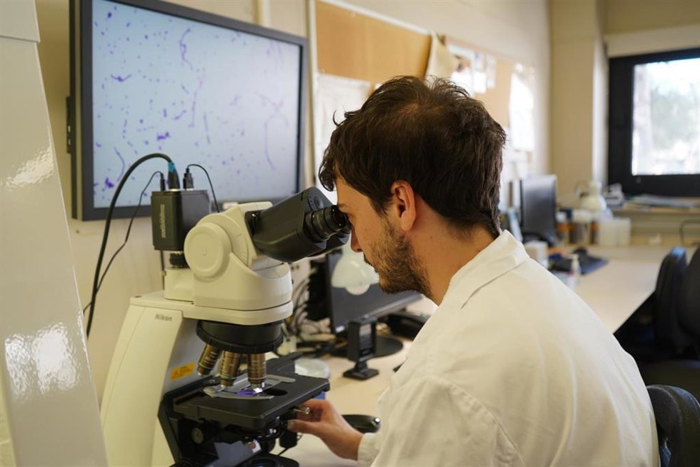 Laboratorio de Microbiología del Vall d'Hebron.
