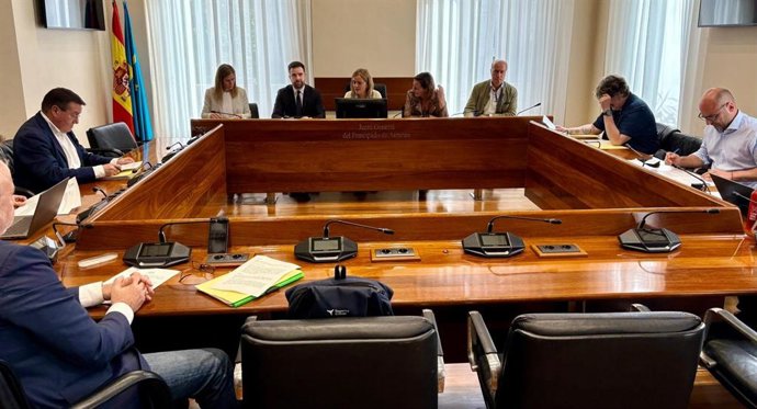 Comisión de investigación del accidente de Cerredo