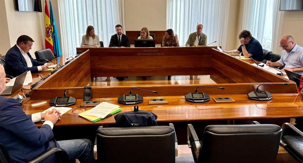 Comisión de investigación del accidente de Cerredo