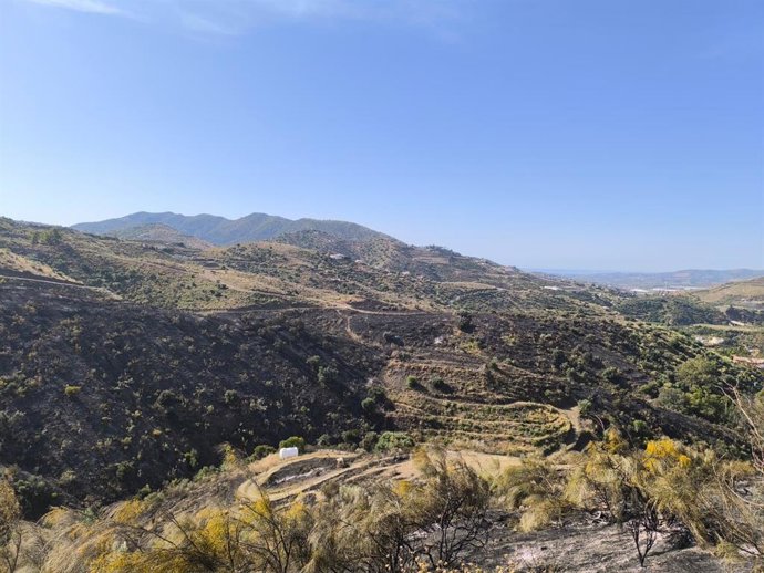 Incendio estabilizado en Canillas de Aceituno