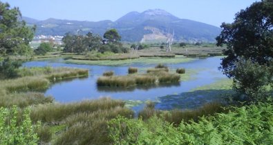 Cantabria