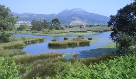 Cantabria
