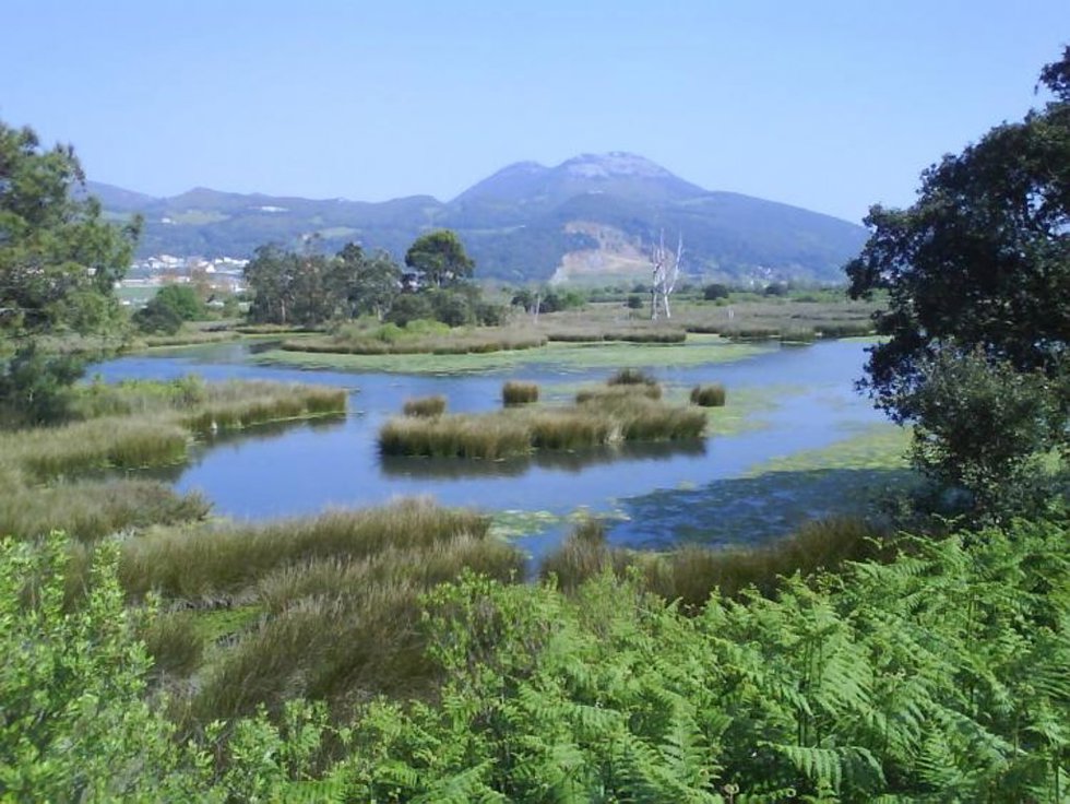Archivo - Marismas de Santoña