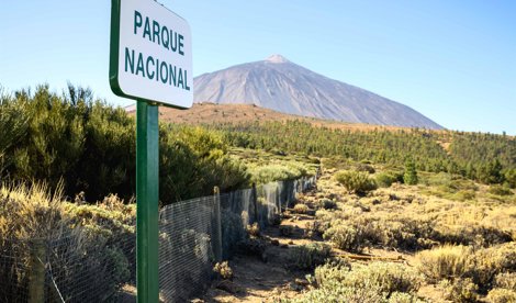 Islas Canarias