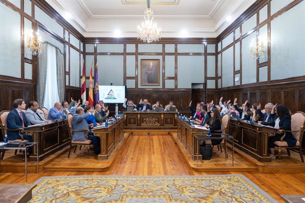 Pleno en la Diputación de Guadalajara.