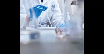 Las mitocondrias controlan la activación de las células inmunitarias y la eficacia de la inmunoterapia, según un estudio