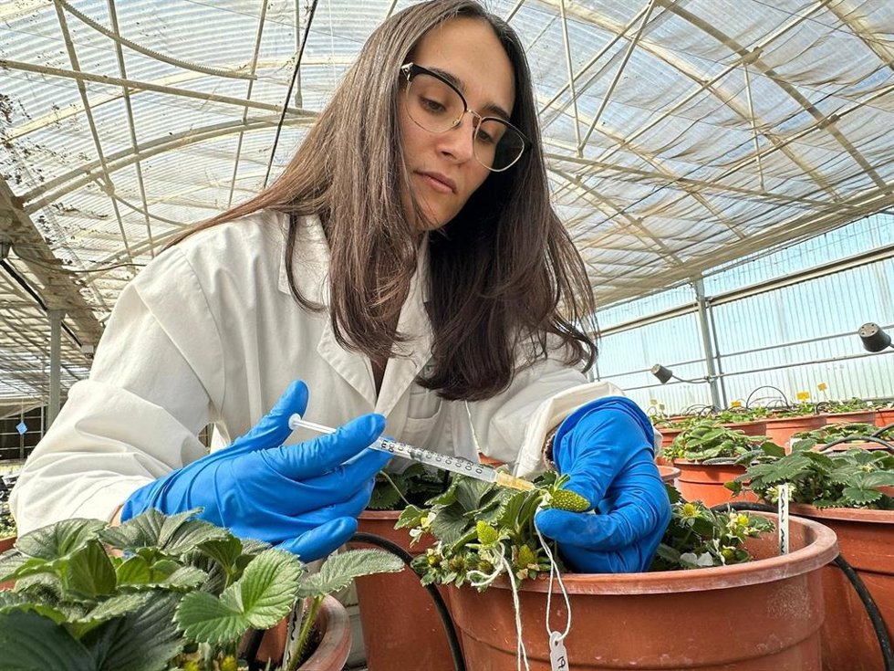 Imagen de una investigadora.