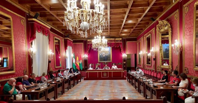Archivo - Consejo Municipal del Ayuntamiento de Granada (imagen de archivo).