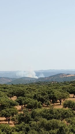 Un incendio en Almadén de la Plata