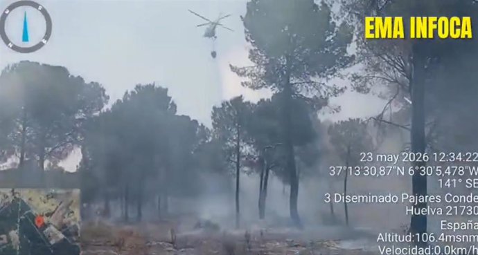 Efectivos del Infoca durante los trabajos de extinción en Almonte (Huelva).