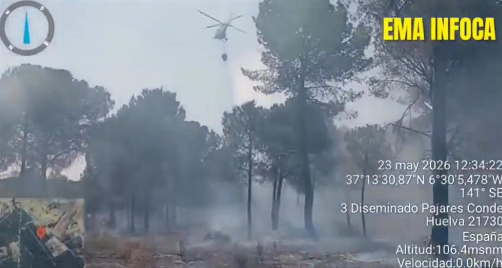 Efectivos del Infoca durante los trabajos de extinción en Almonte (Huelva).