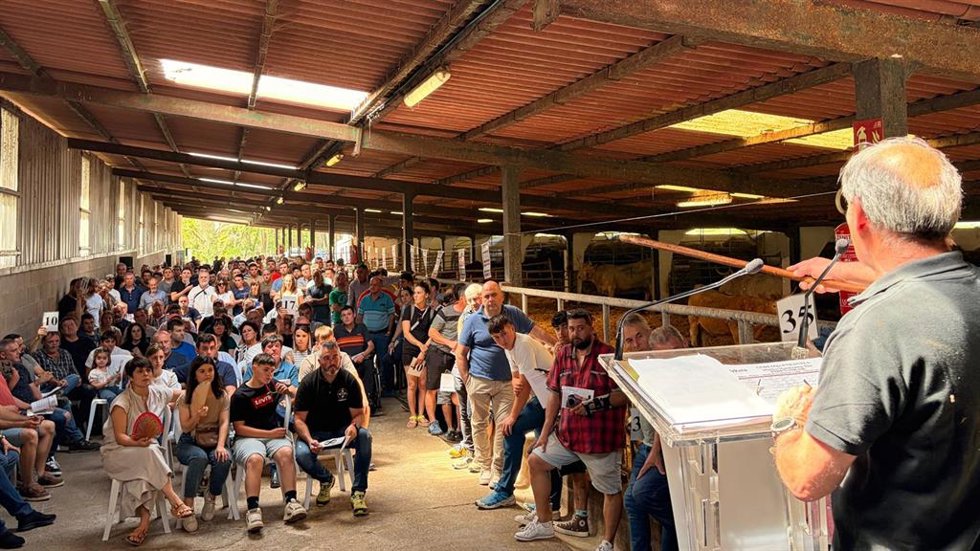 Subasta de 35 cabezas de ganado pirenaico y pottoka en la Granja Foral de Gorliz, en Bizkaia.