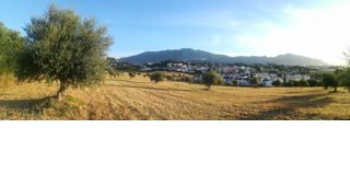 Málaga